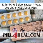 Männliche Seidenraupenmotte, Die Orale Flüssigkeit Nährt 41